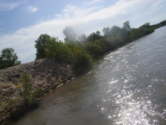 image019