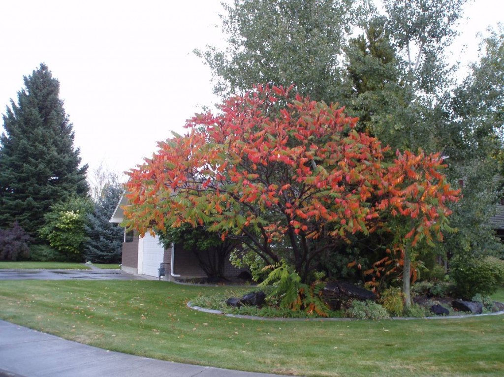 monimage020 monimage020